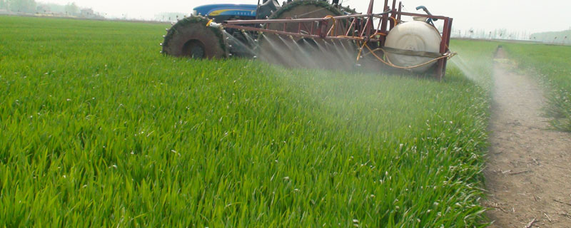 高锰酸钾在农业禁忌 高锰酸钾可以用于农作物吗