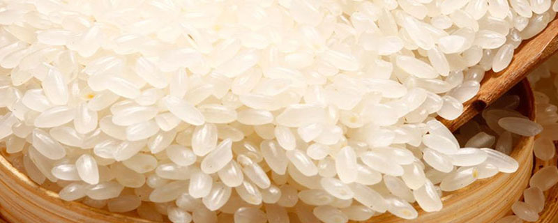 什么是粳米 什么是粳米粉