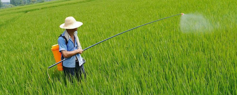 有机磷农药中毒瞳孔变化（有机磷农药中毒瞳孔变化是多少）