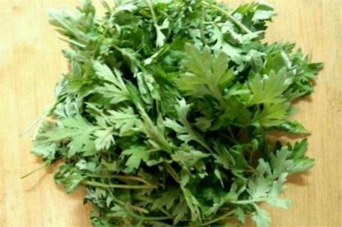 野生艾叶采摘最佳时间,清明节前采摘艾叶效果好