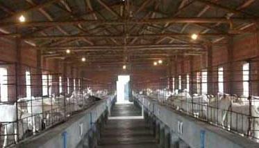 羊养殖场常用消毒药物和方法 大型养羊场养羊怎么消毒