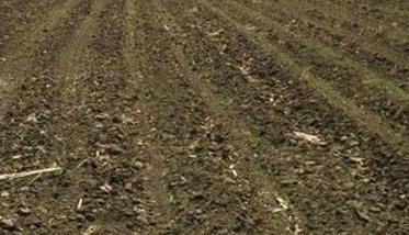 播后苗前土壤处理的除草剂有哪些
