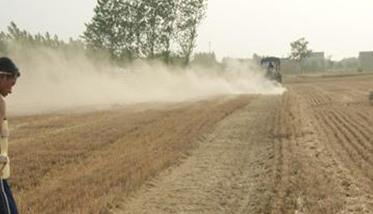 紫花苜蓿种子怎么种(紫花苜蓿种子怎么种出来的)