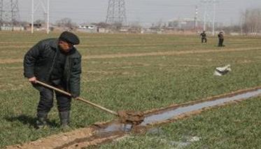 小麦冬灌时间是什么时候 冬小麦冬灌应在何时