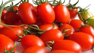 圣女果和西红柿的区别在哪里 圣女果和西红柿哪个营养价值更高