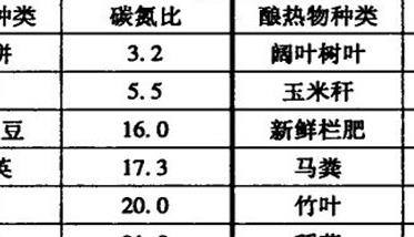 竹林提早出竹笋促成栽培要点（竹笋的生长有利条件）