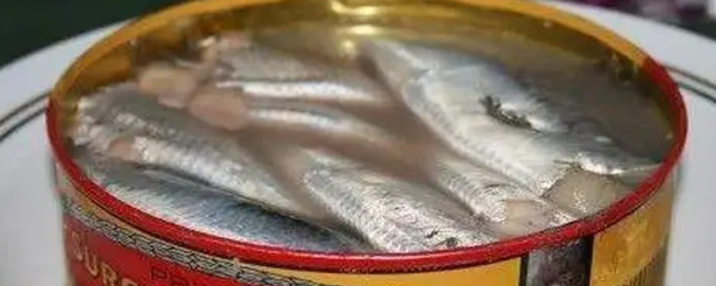 鲱鱼罐头到底有多臭 鲱鱼罐头到底有多臭?吃过的朋友来说说