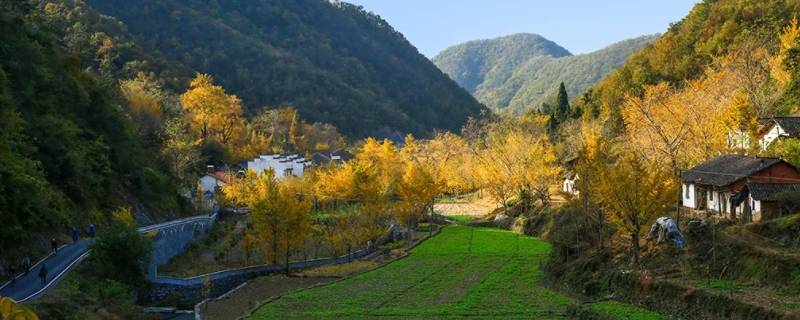 钱冲村是哪个省市（钱排镇是哪个县的）