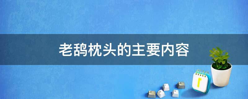 老鸹枕头的主要内容 老鸹枕头图片及作用