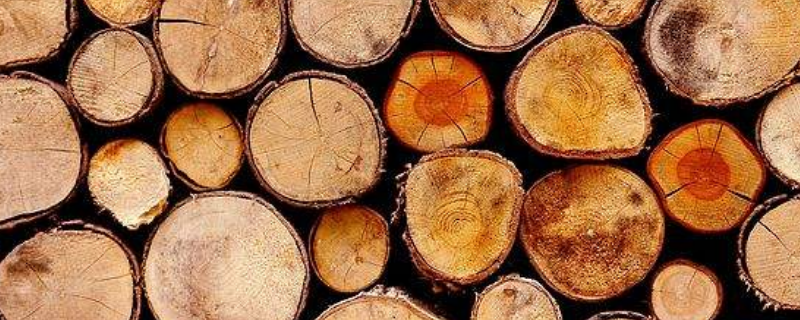 影响木材强度的因素有哪些 木材的强度有哪些特点,影响强度的因素有哪些