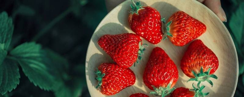 一个草莓还是一颗草莓（一个个草莓还是一颗颗草莓）