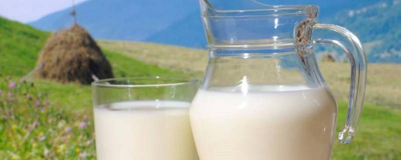如何区别鲜牛奶和含乳饮料（乳饮料和纯牛奶的区别）