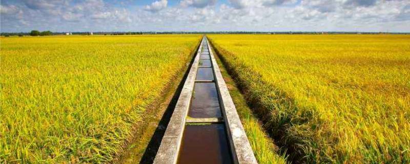 农田灌溉工具有哪些 农田灌溉工具有哪些什么车?