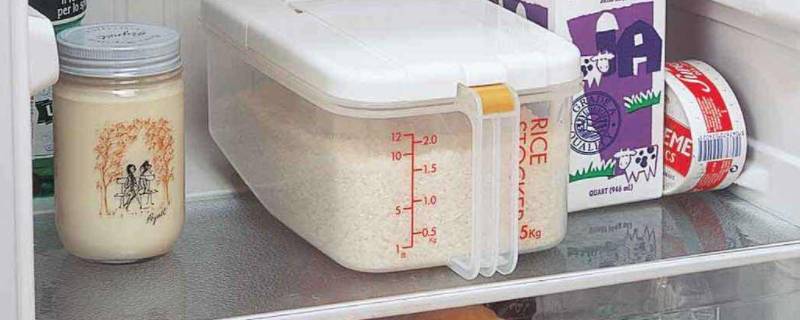 米可以放冰箱里保鲜吗（米可以放冰箱冷藏保存起来吗）