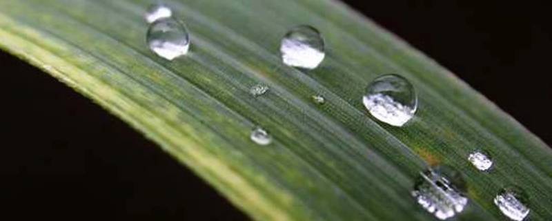 冬天露水一般晚上几点开始有 冬天露水一般早上几点开始有