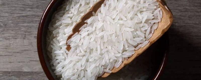 为何密封的米也会长虫子 密封的米为什么会长米虫