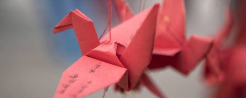 送千纸鹤的寓意是什么 男生送千纸鹤的寓意是什么