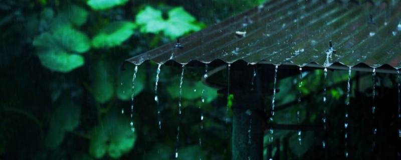 梅雨的梅是哪个梅 梅雨季节的梅是哪个梅