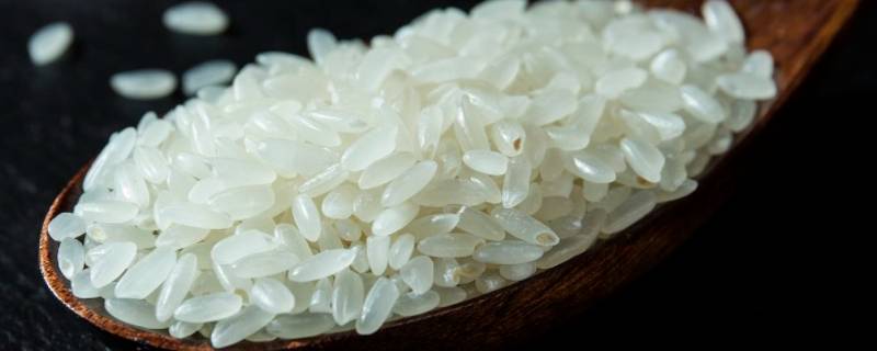 米是植物中的哪一部分（米是植物的种子吗）