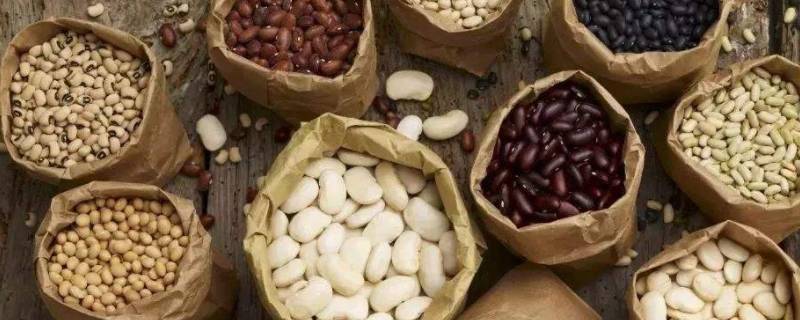 什么食物可以长期储存(什么食物能长期储存)