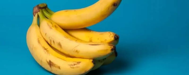 为什么香蕉挂着不容易坏 为什么香蕉挂着不容易坏蚂蚁
