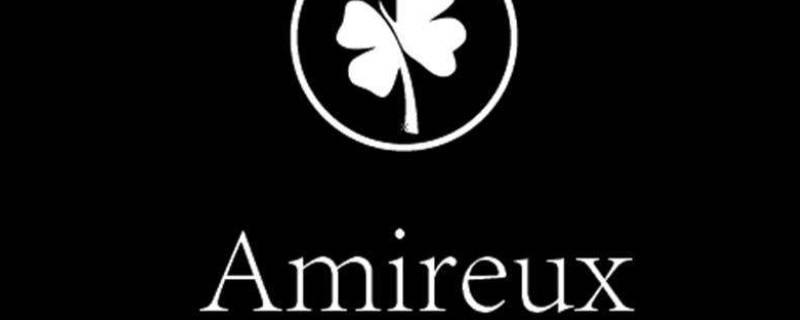 Amireux寓意（amireux表达了啥）