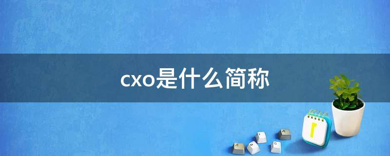 cxo是什么简称 CXO是啥