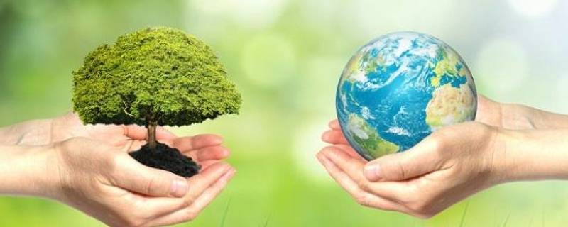 减少塑料袋的建议7条 减少塑料袋的建议有哪些?