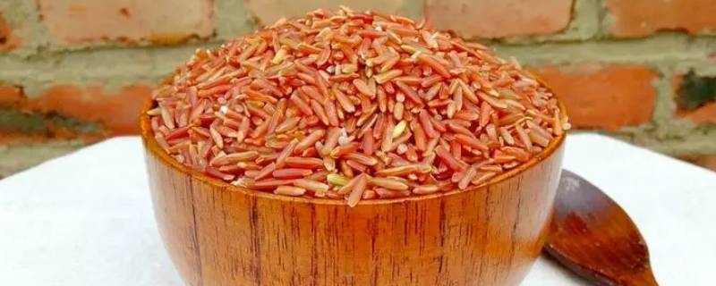 红色米是什么米（红棕色的米是什么米）