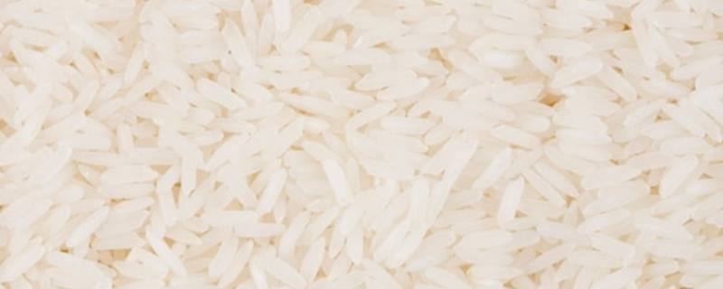 大米能保存多久 散装大米能保存多久