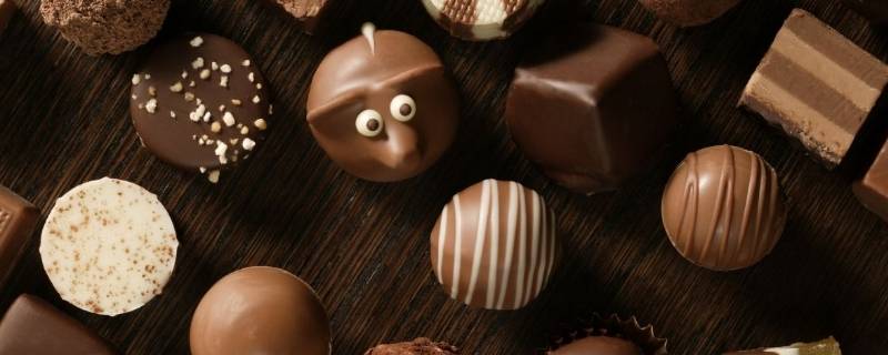 巧克力和可可的区别 巧克力和可可味道有什么区别