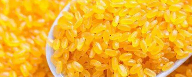 黄颜色的大米是啥米（黄颜色的大米是啥米煮熟很软）