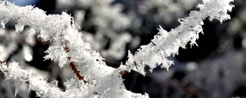 雪的熔点（雪中撒盐为什么会降低雪的熔点）