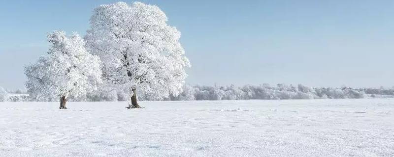 为什么雪下到地上就化了 为什么雪到地面就化了