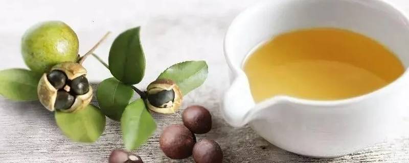 山柚油是山茶油吗 山柚油和山茶油的功效与作用