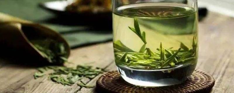 雨花茶属于哪种茶 雨花属于什么茶