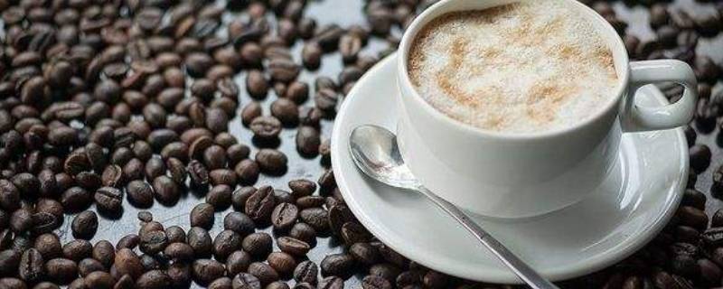 麦咖啡的咖啡豆是什么品种 麦咖啡用的是什么咖啡豆