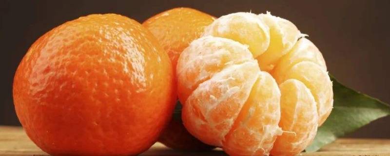 桔子和橘子一样吗（桔子和橘子有啥不一样）
