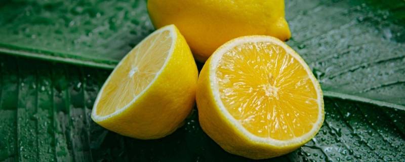 柠檬是水果吗 柠檬是什么季节的水果