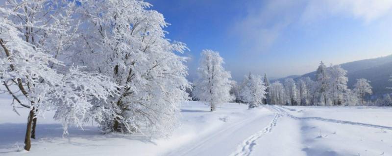 为什么不下雪（夏天为什么不下雪）