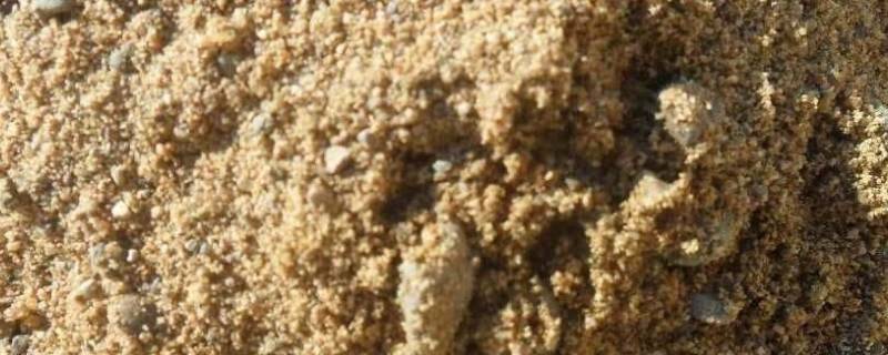 砂的表观密度 砂的表观密度一般是多少