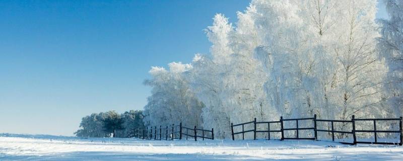 雪是什么味道 雪是什么味道的文章