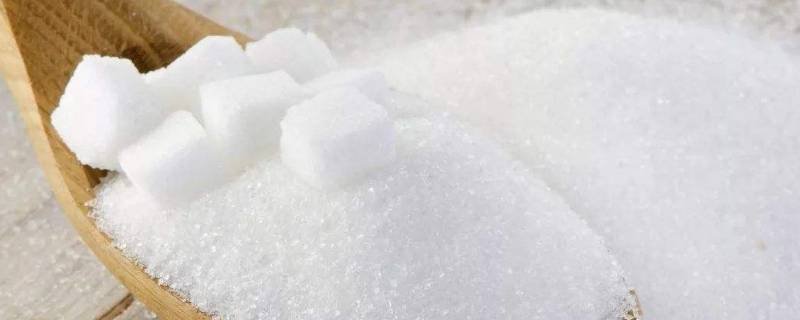 食盐和白砂糖哪个溶解能力强（食盐和白砂糖哪个溶解能力强实验过程）