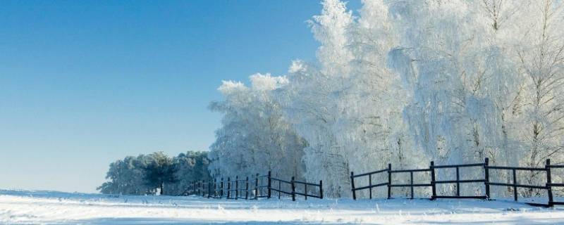 形成降雪必须具备哪些条件 形成降雪的必要条件