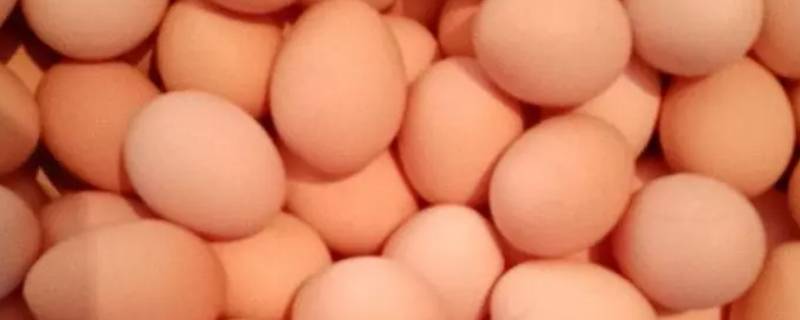 鸡蛋放冰箱能放多久（煎好的鸡蛋放冰箱能放多久）