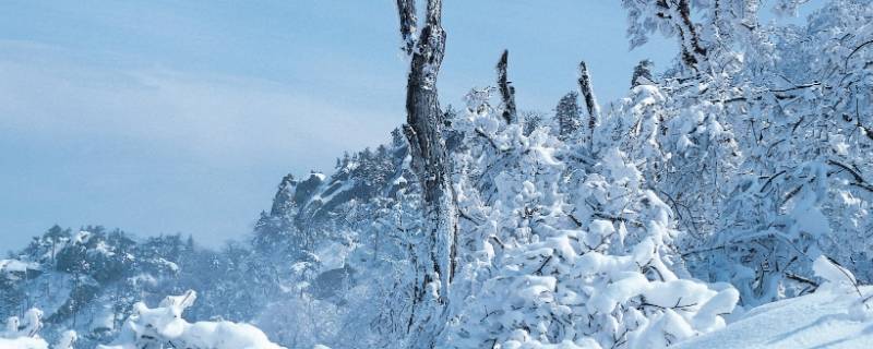 大雪节气能理发吗 大雪节气可以剪头发吗