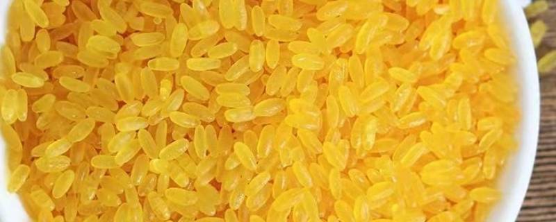 黄金米是染色的还是天然的 黄金米是染色的还是天然的像粉条味道的黄金米