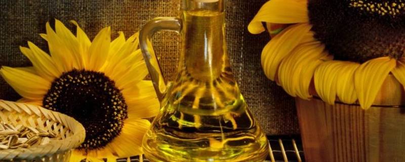 山桐子油是不是食用油 山桐子油可以食用吗