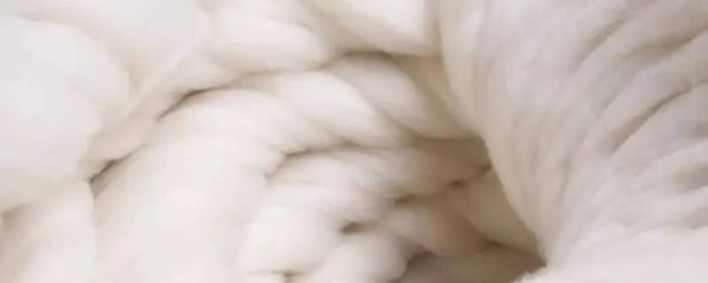 羊绒和山羊绒有什么区别啊（羊绒和山羊绒有啥区别）