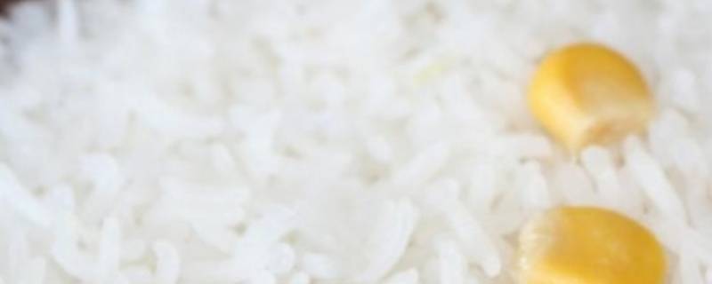 2个人蒸米饭水米比例 2个人蒸米饭水米比例容器测量
